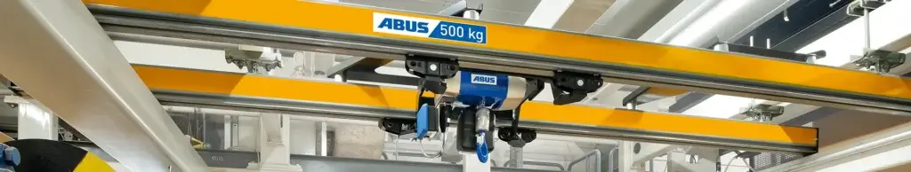 double-rail hoist2